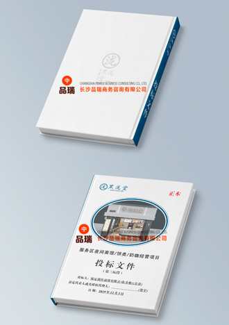 標(biāo)書封面十七